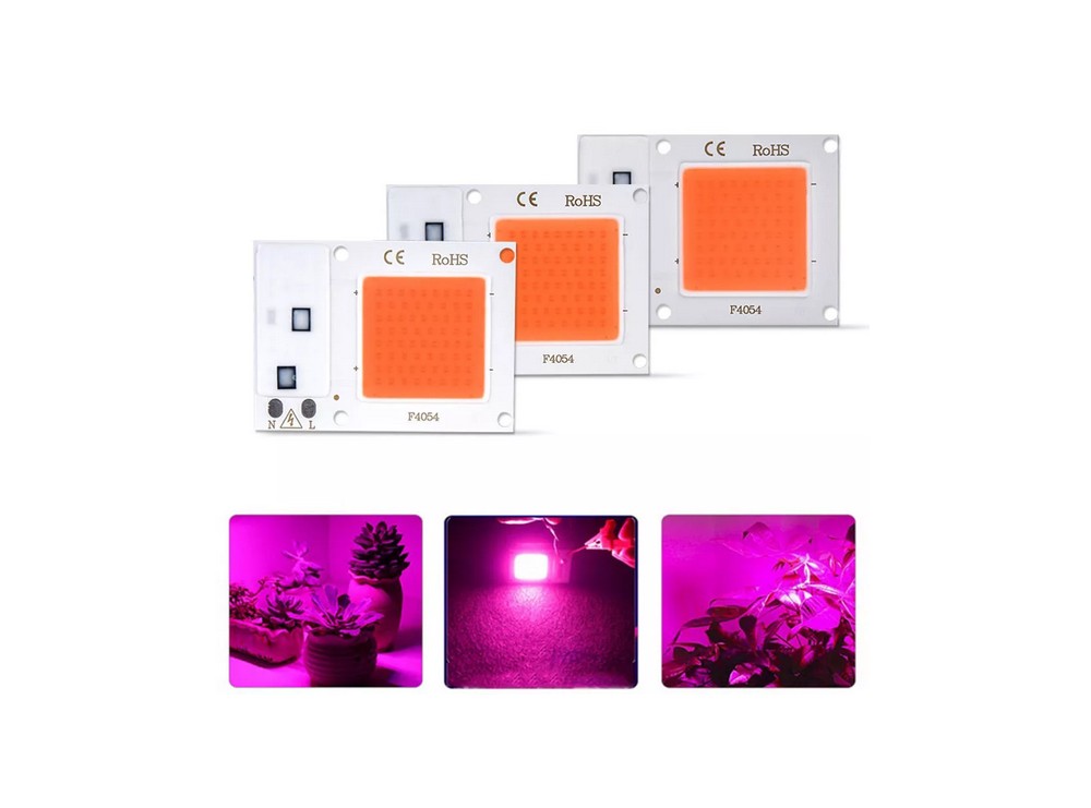 led رشد گیاه